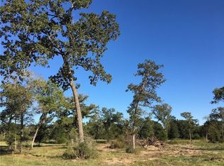 9800 Chelsea Dr, Iola, TX 77861