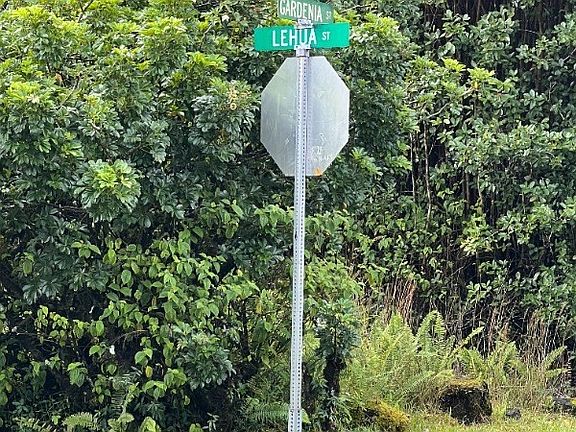 5th image of Lehua St Lot 6919