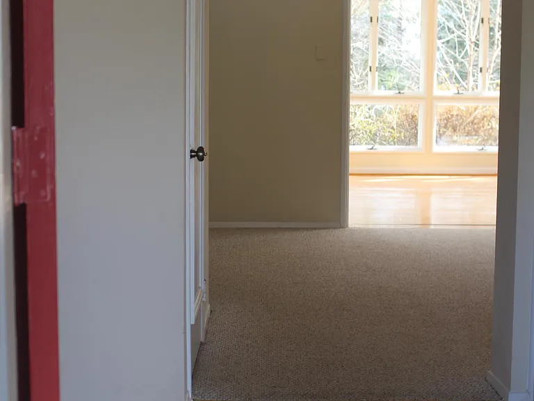 1049 Balls Hill Rd — Photo 63