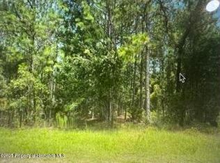 13095 Albany Rd, Weeki Wachee, FL 34614