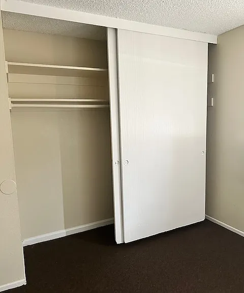Del Rosa Palms Apartments — Photo 4