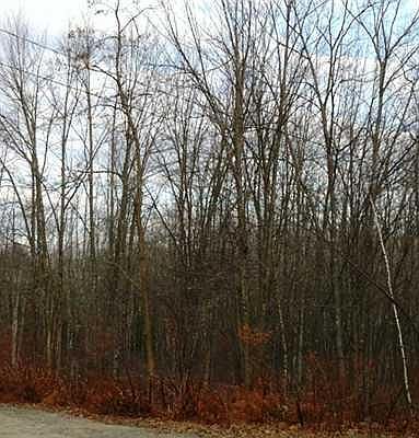 1st image of Lot 15B Putnam Street