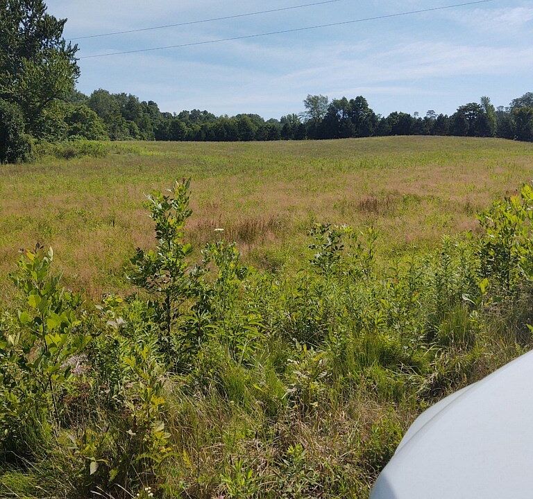 2nd image of 5286 Forest Ln