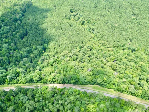 11264 Halso Mill Rd, Greenville, AL 36037