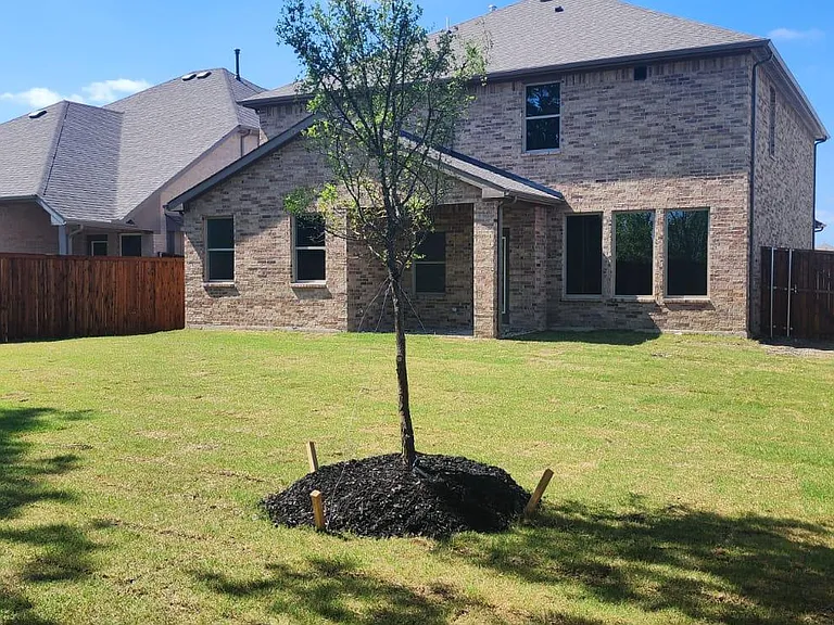 3418 Beebalm Blvd — Photo 2