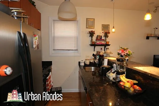 1738 W Altgeld St #1F — Photo 16