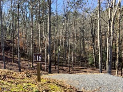 116 Jakes Lndg, Ellijay, GA, 30540