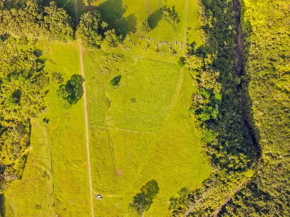 Kaiwiki Homestead Rd Lot 39-C, Hakalau, HI 96710