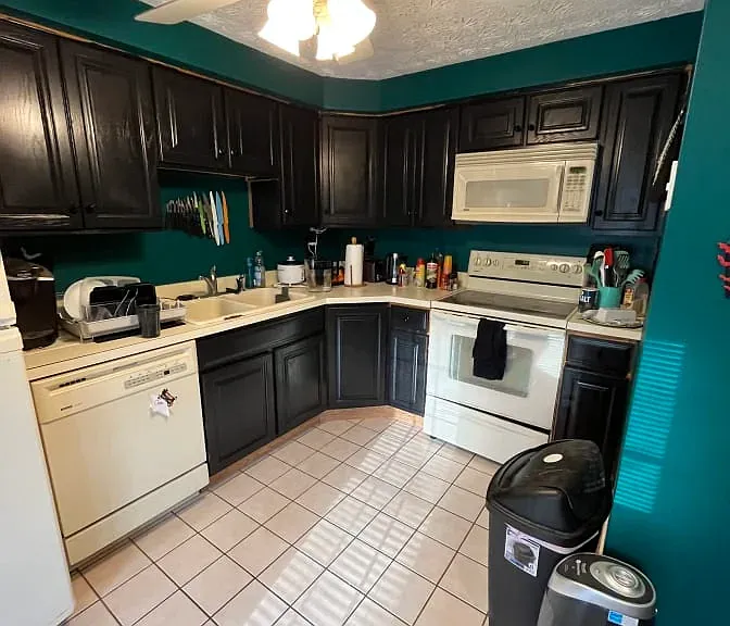 6344 Beechfield Ave — Photo 5