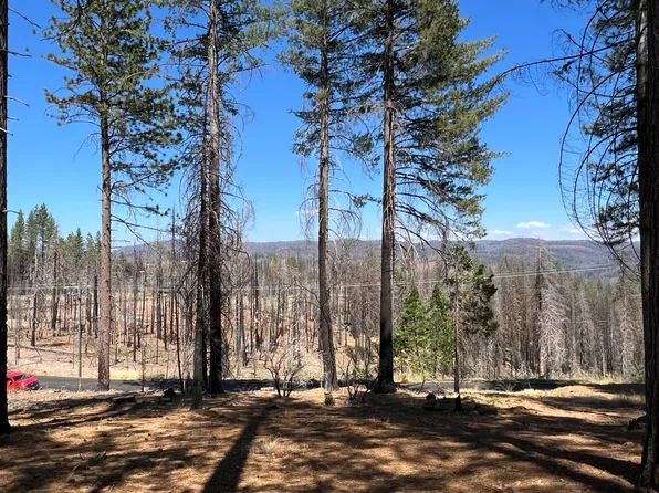 4904 Mount Pleasant Dr, Grizzly Flats, CA 95636