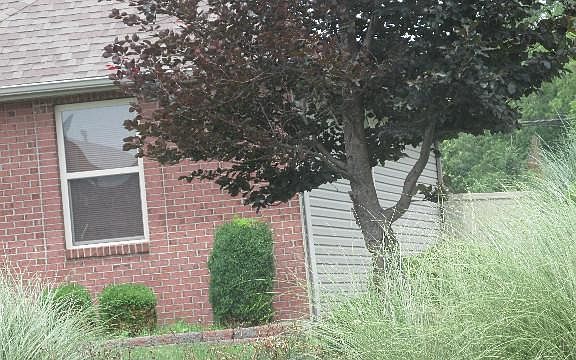3rd image of 4735 Belmont Pl