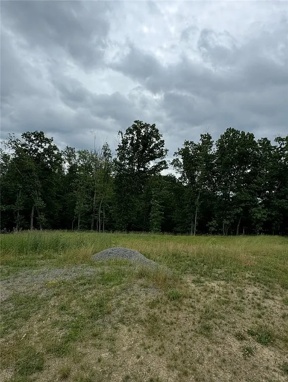LOT 205 2009 Mallard Ln photo 1