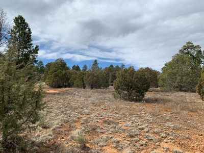 W Miller, Show Low, AZ, 85901