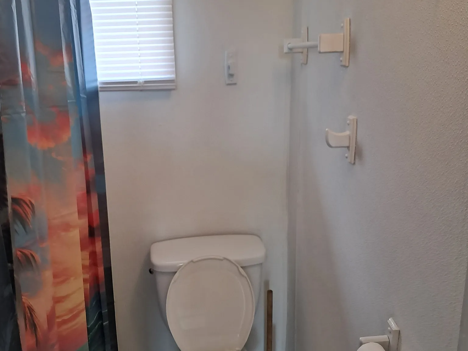 1 bed, 785 sqft, $1,200 — Photo 4