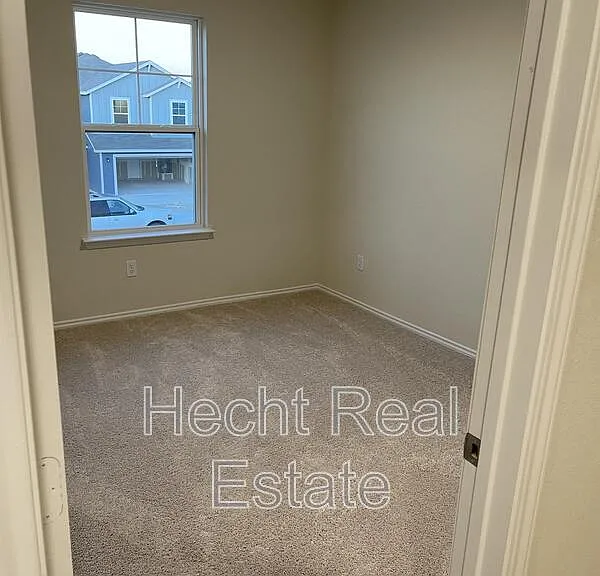 451 Forsythia — Photo 31