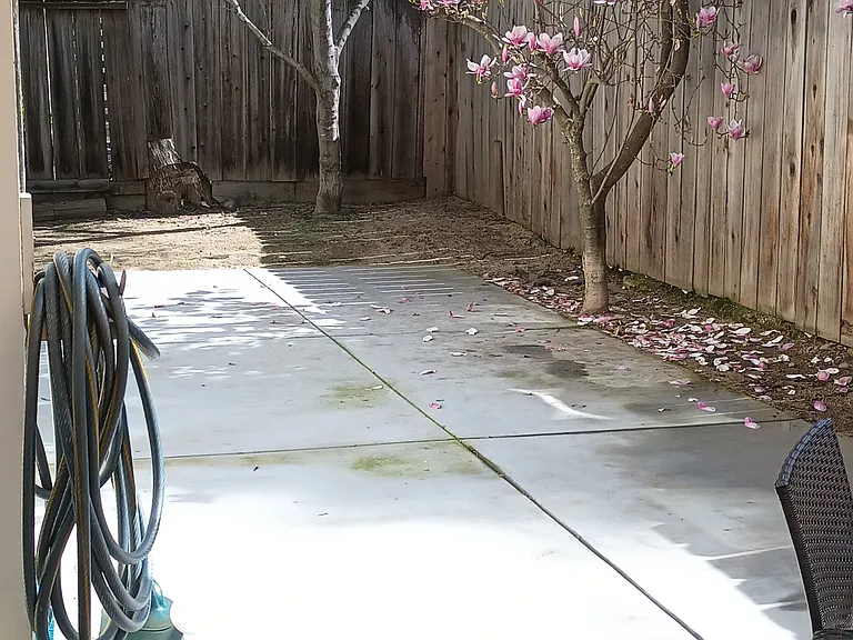 1349 Snow St — Photo 4