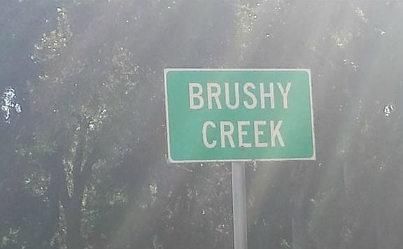 2nd image of 1957 Windy Ridge Rd