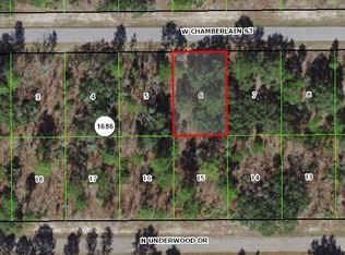 2122 W Chamberlain St, Citrus Springs, FL 34434