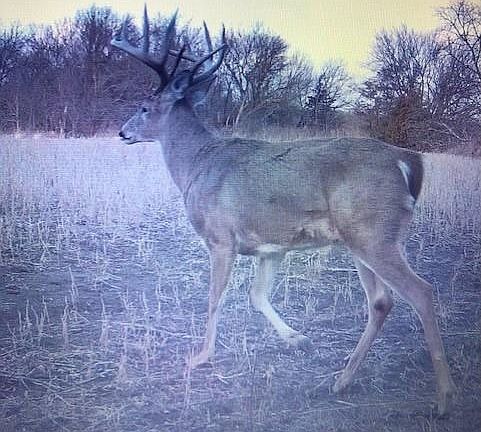 5th image of 27699 S Hoch Rd