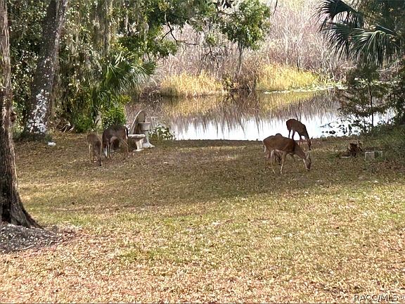 3rd image of 4185 S Spaniel Trl