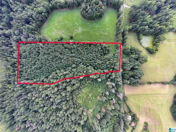 0 County Road 32 #0, Double Springs, AL 35553