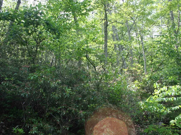 42 High Valley Dr N, Monterey, VA 24465