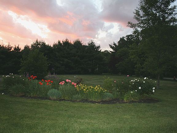 Backyard at sunset