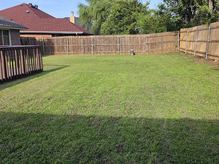 Large backyard