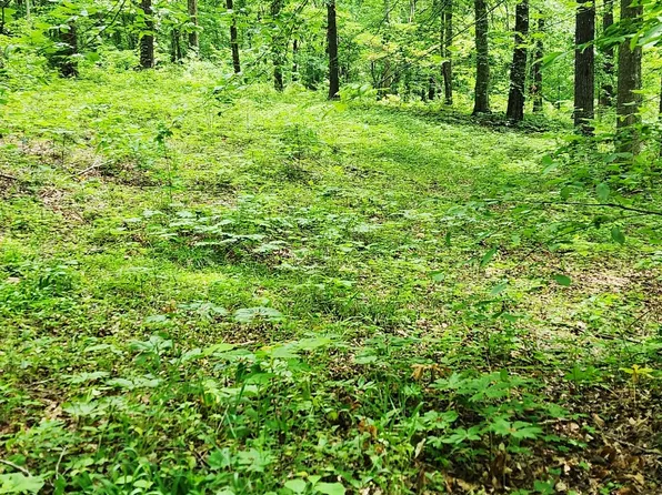 0 Scenic Rd, Normandy, TN 37360