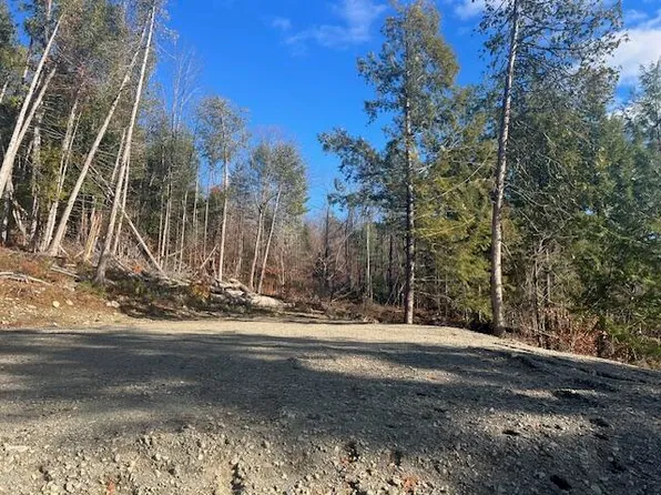 Lot 5 Peterson Road, Bowerbank, ME 04426