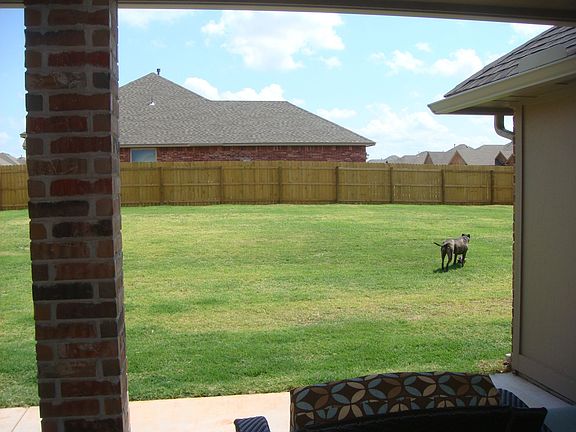 yard