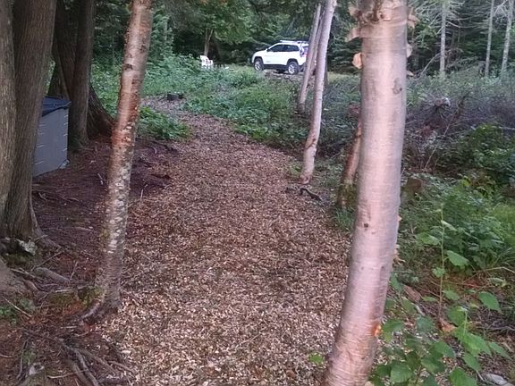 Trail from lake, to parking area