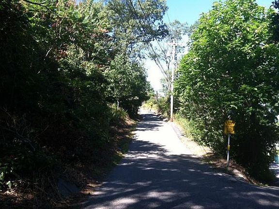 3rd image of 65 Brook Trl