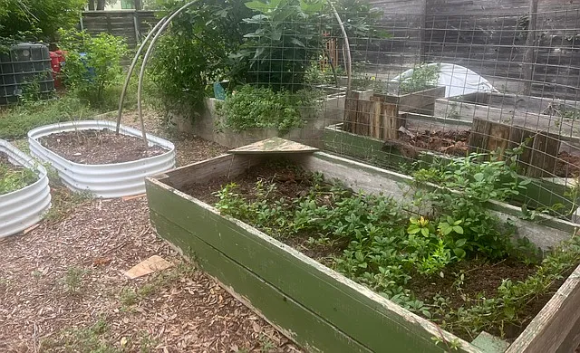 There are a total of 7 raised garden beds in the back yard.