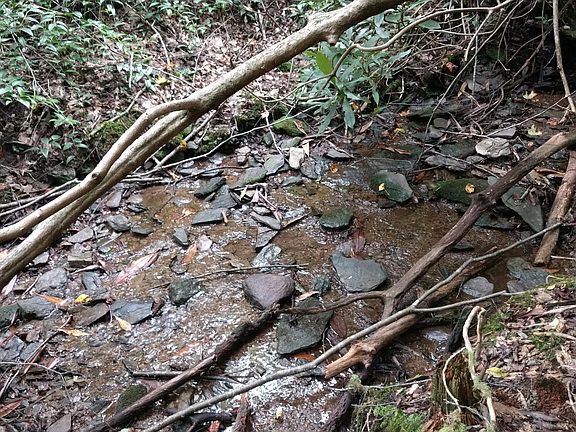 Small stream on property