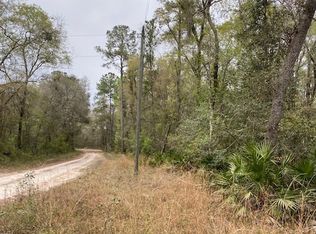 17 SE Elisha Blvd LOT 55, Branford, FL 32008