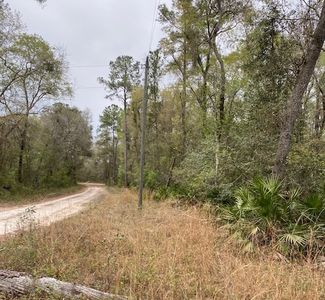 17 SE Elisha Blvd Lot 55, Branford, FL, 32008