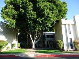 1st image of 3119 W Cochise Dr Unit 254