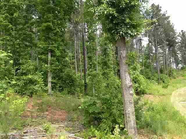 1st image of LOT 58 Four Pointes N Natures View Dr