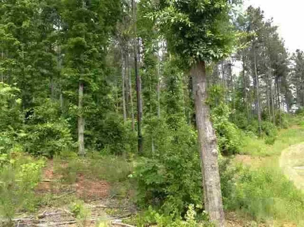 LOT 58 Four Pointes N Natures View Dr, Salem, SC 29676