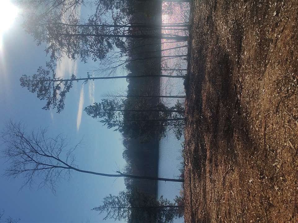 2nd image of 10 Lake Orange Rd #10