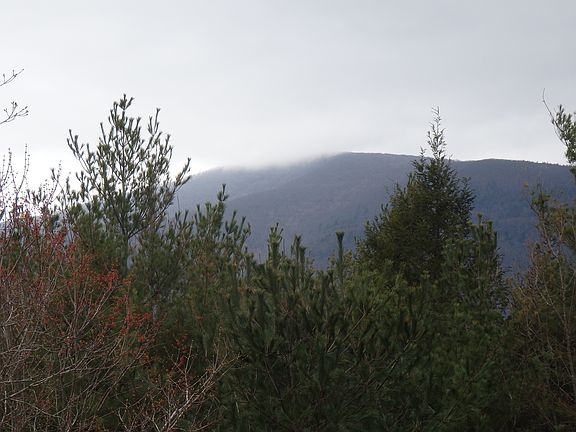 SW/Overlook Mtn