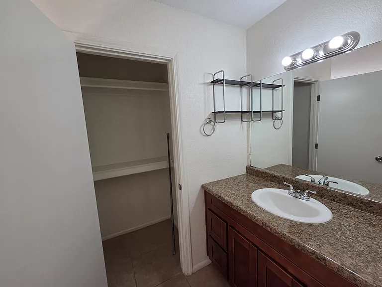 Primary vanity & closet