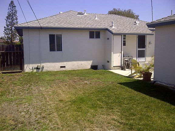 back yard