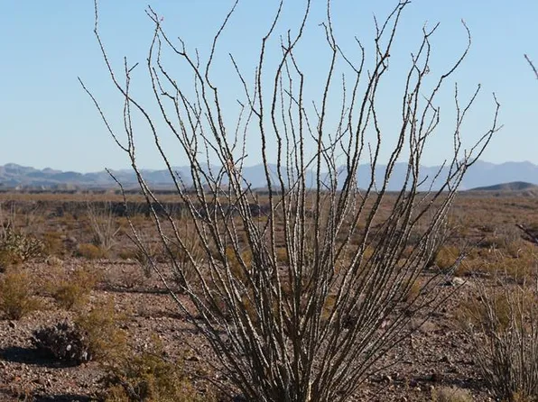 29547 County Road 169, Presidio, TX 79845