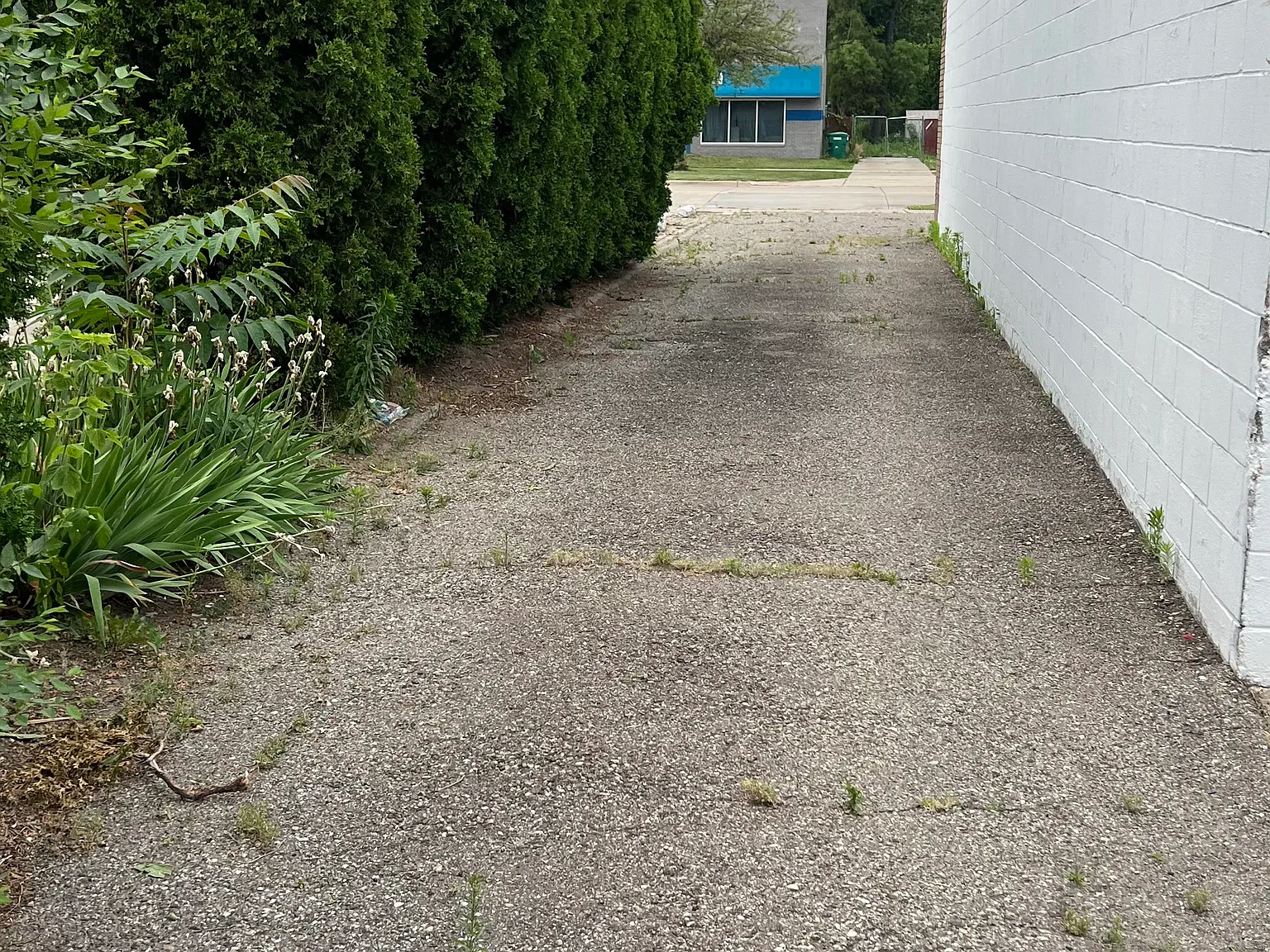 Studio, 900 sqft, $900 — Photo 2