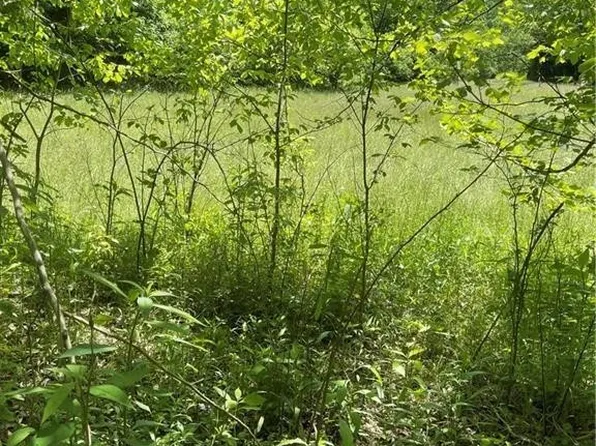 41180 Vanfossen Ln, Lower Salem, OH 45745