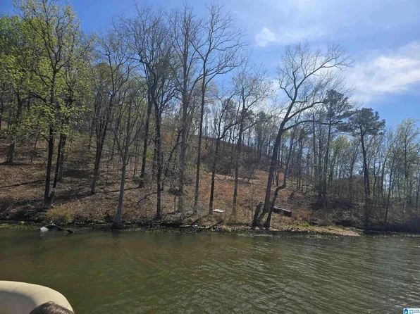 18 Eagle Point Trce, Rockford, AL 35136