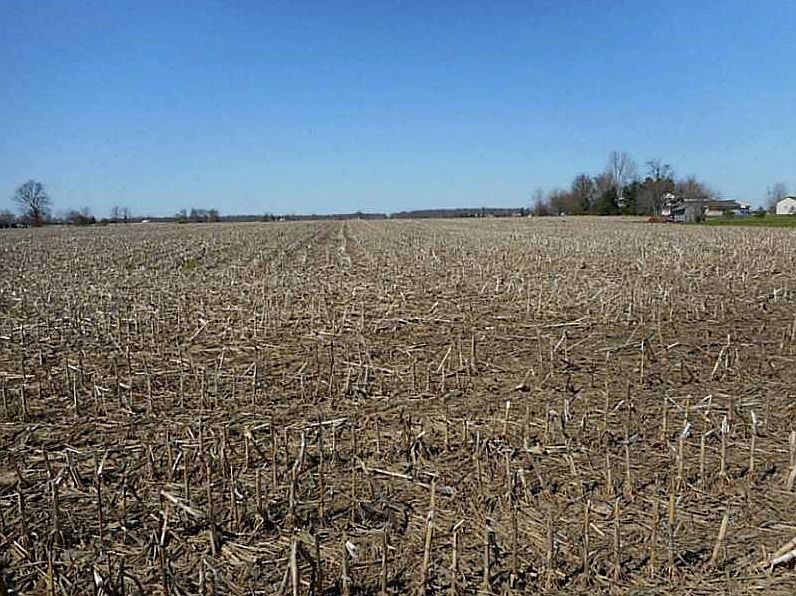 2nd image of 9648 Stott Rd