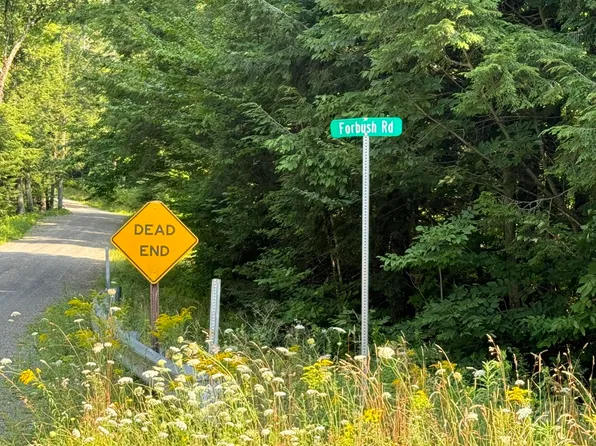 1 Forbush Road, Wilmington, VT 05363